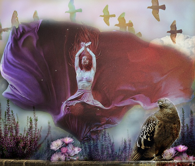 沈梦雨加盟 沈梦雨加盟