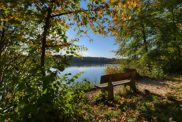 反映了他们 反映了他们