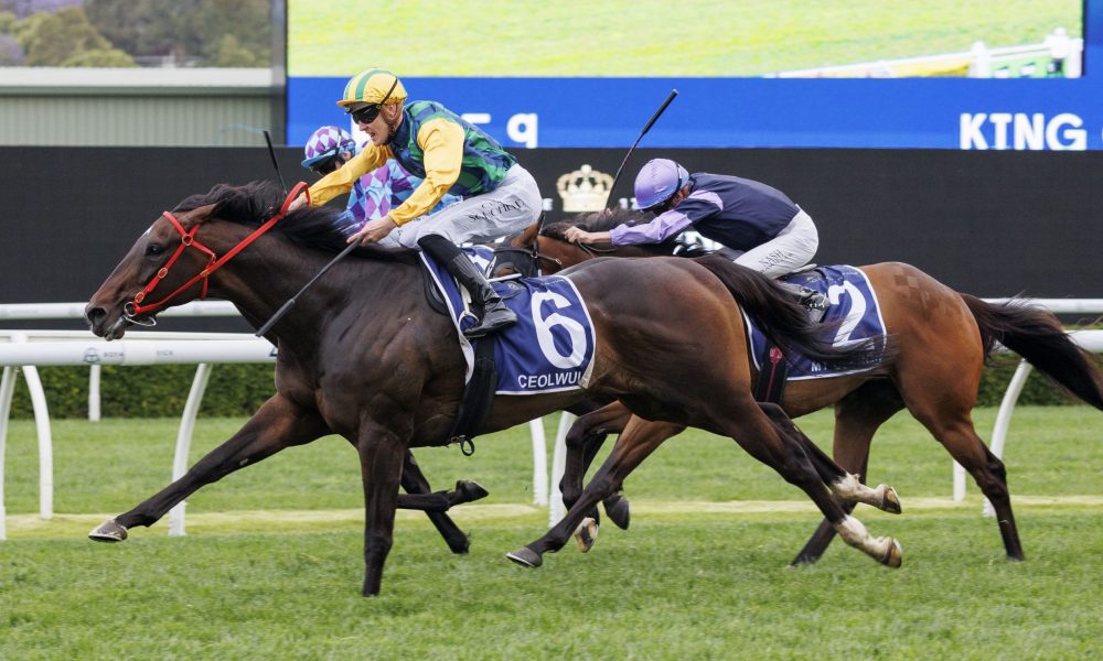 以结果为导 以结果为导